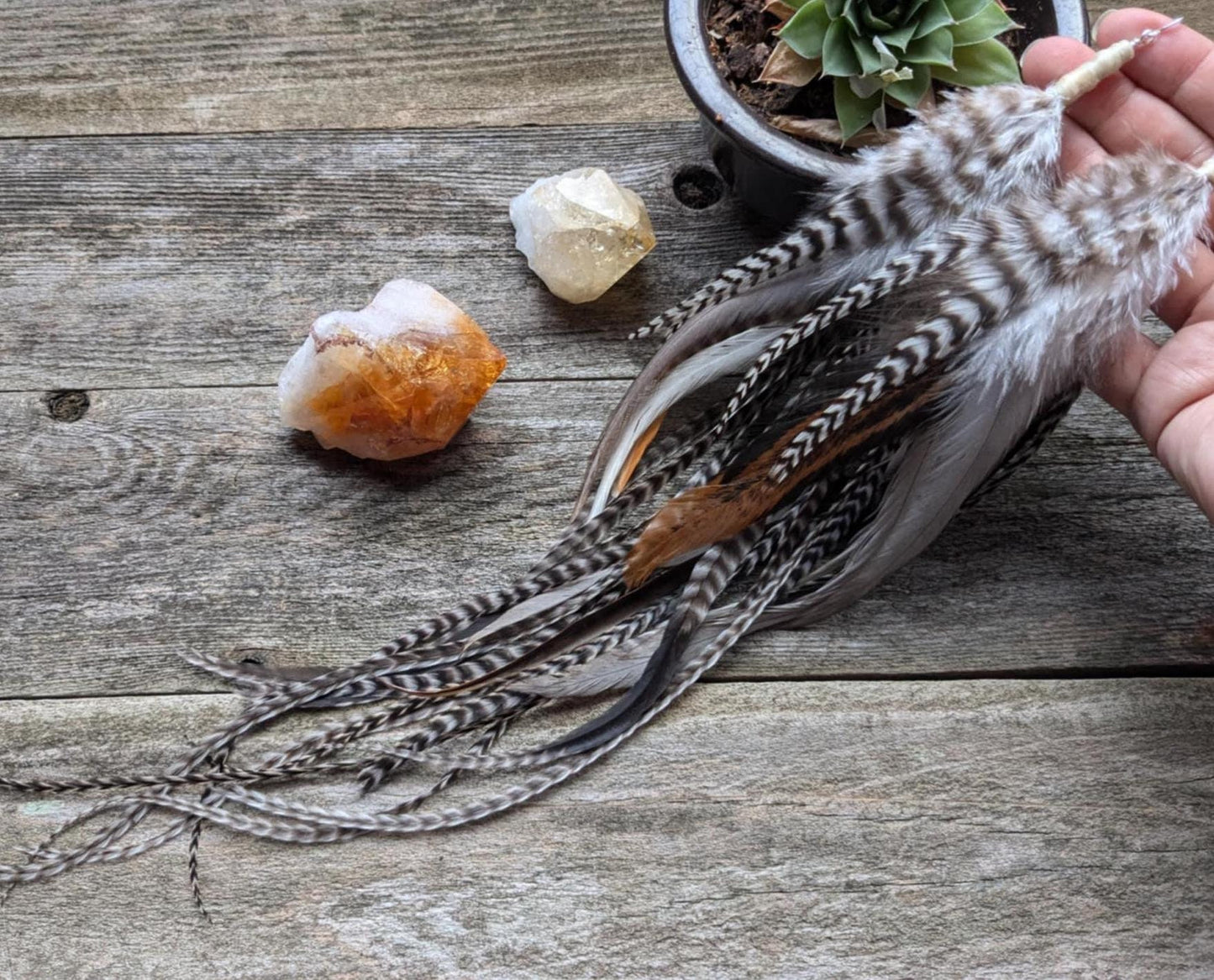 Extra Long Mixed Feather Earrings