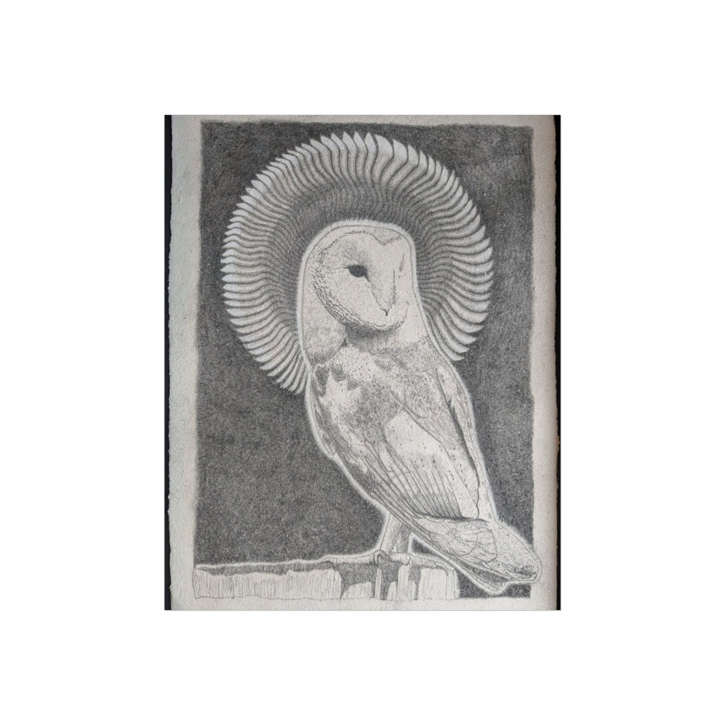 "Owl Priestess" - Fine Art Print