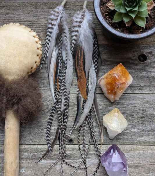 Extra Long Mixed Feather Earrings
