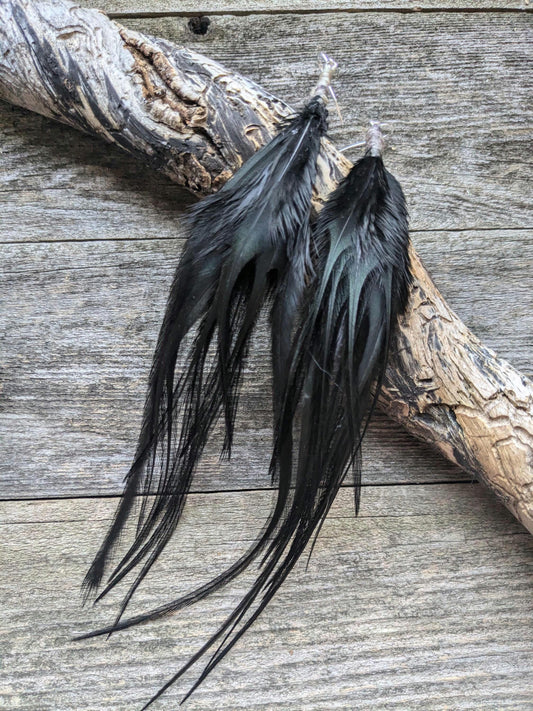 Long Black Feather Earrings